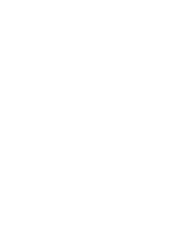 GreatSN Logo Footer